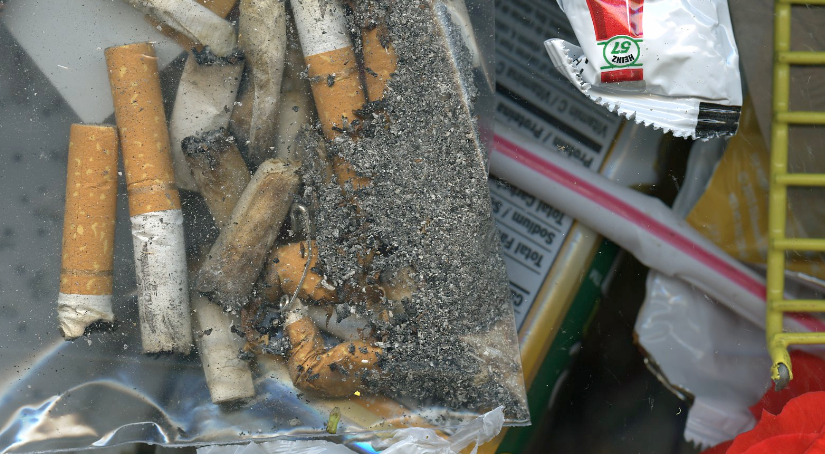 Student blog: Copy&nbsp;Cat