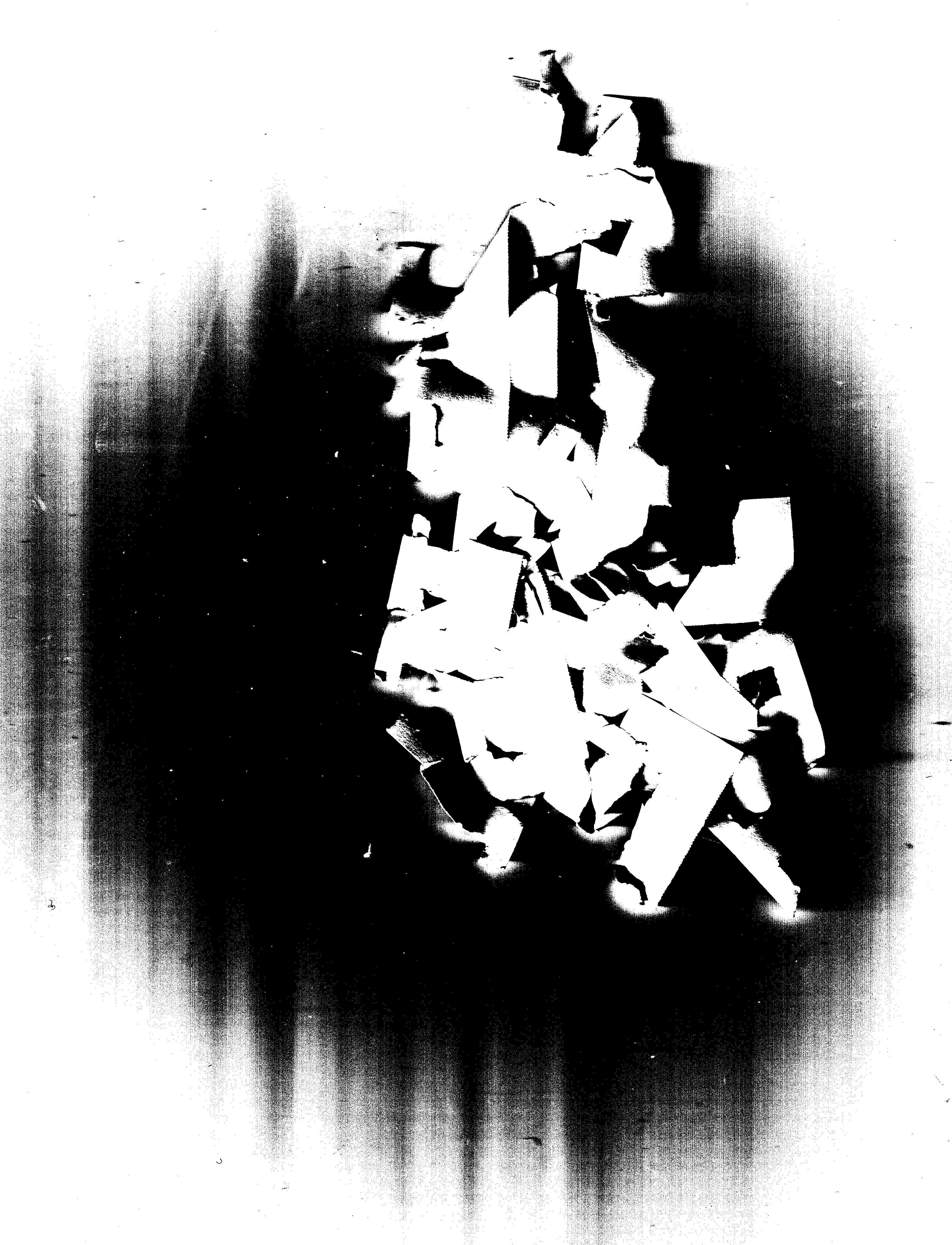Disjecta scan 1.jpg