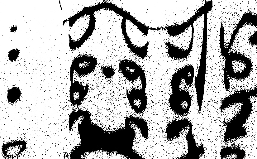 The pseudocryptic ant writing of Old English&nbsp;scribes